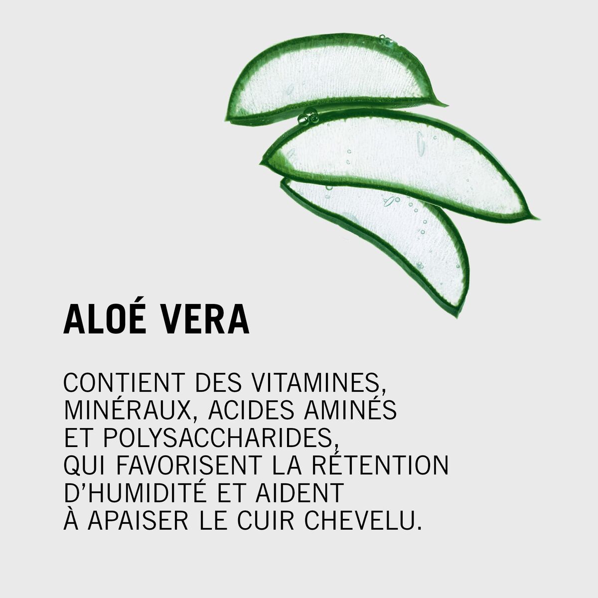 V4HB436C1D14C0AED28866B78EF7F80E8D4R7368978P8